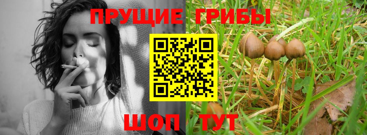 Галлюциногенные грибы прущие грибы Южно-Сахалинск