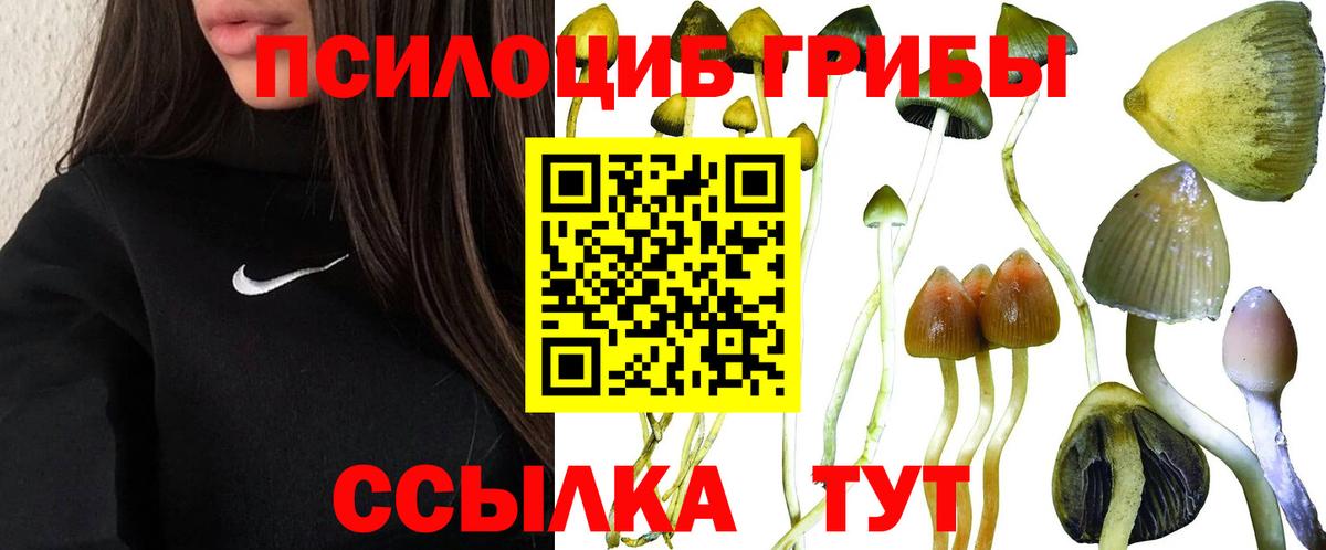 Южно-Сахалинск  Псилоцибиновые грибы прущие грибы  наркошоп  Вход с VPN 