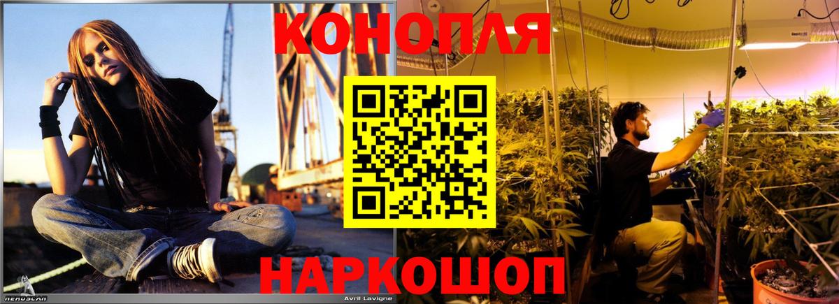 Южно-Сахалинск  Конопля Bruce Banner  Конопля индика  Марихуана сатива  Вход с VPN  Каннабис Ganja 